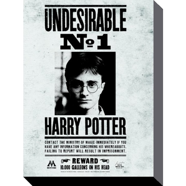Harry Potter Canvastryck Undesirable No.1