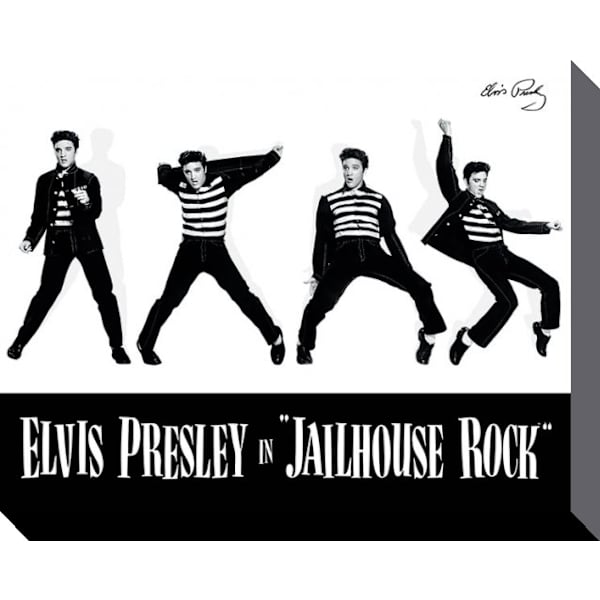Elvis Canvas-taulu Vankilakivi