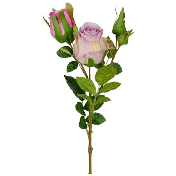 Roskvist Rosa/Lila - konstväxt/snittblomma