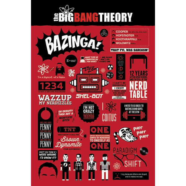 Big Bang Theory Affisch Infographic A703