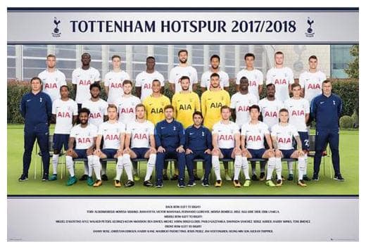 Tottenham Hotspur Plakat Hold 2017-18