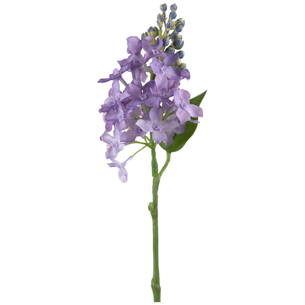 Blomkvist Syrén Lila