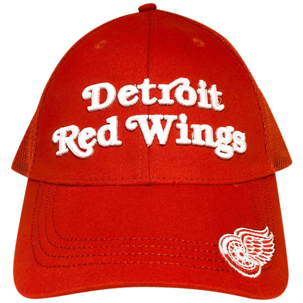 Detroit Red Wings Snap 17