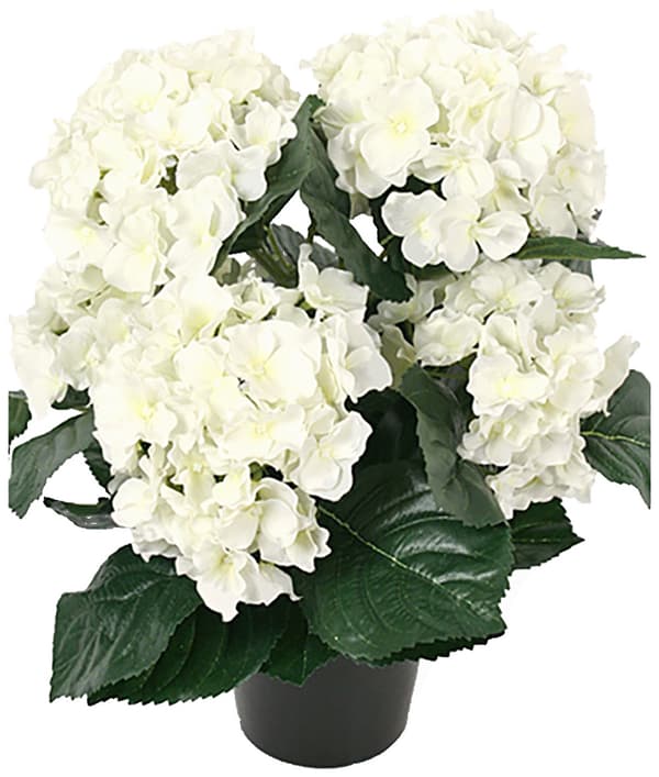 Hortensia Hvidgul 5 Stænger/Kunstig Blomst