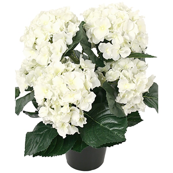 Hortensia Valkokeltainen 5 varret/Keinokukka