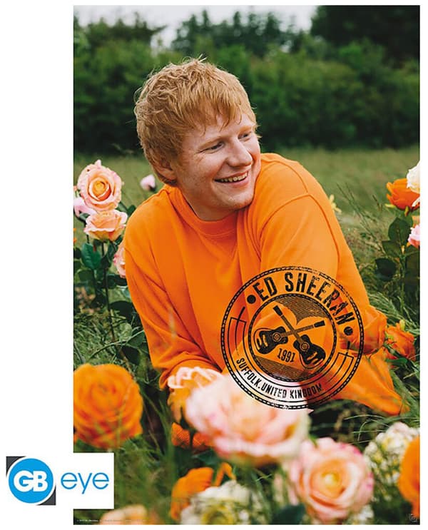 Ed Sheeran Affisch Field 90