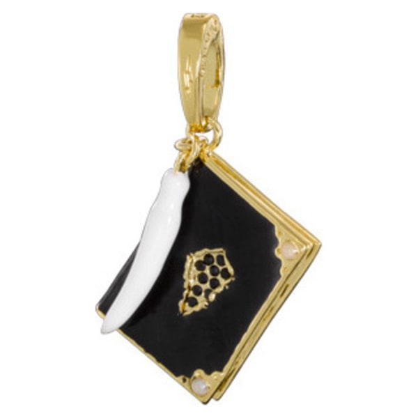Harry Potter Charm Tom Riddle Diary