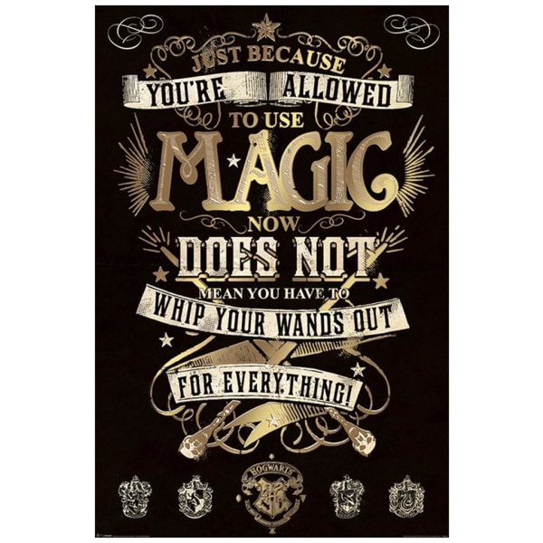 Harry Potter Affisch Magic 282