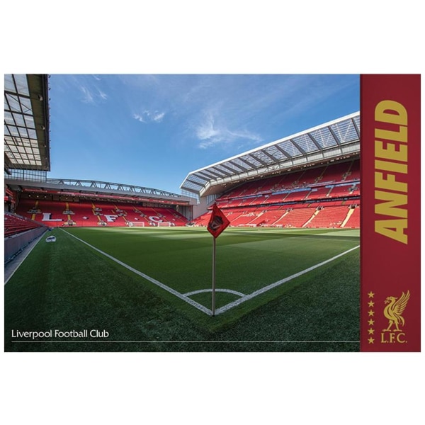 Liverpool Affisch Anfield 33