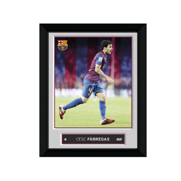 Barcelona kuva Fabregas 20 x 15