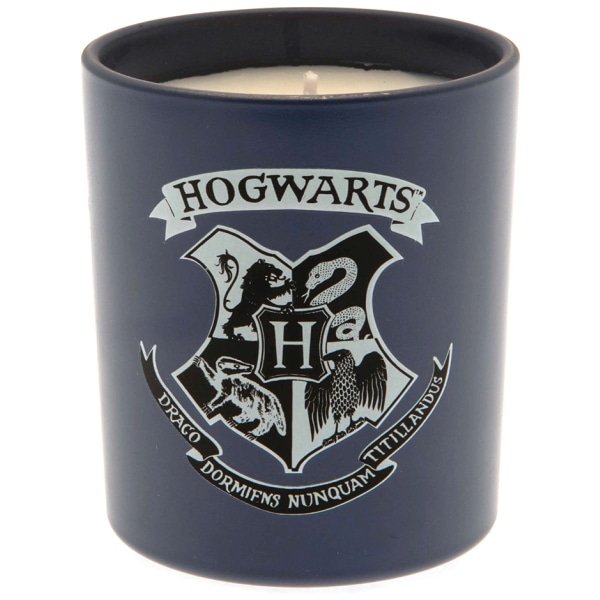 Harry Potter Lys Hogwarts