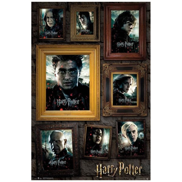 Harry Potter Affisch Porträtt 72
