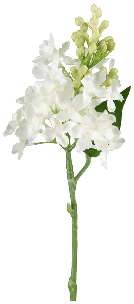 Blomkvist Syrén Vit