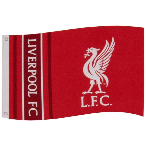 Liverpool Flagga WM