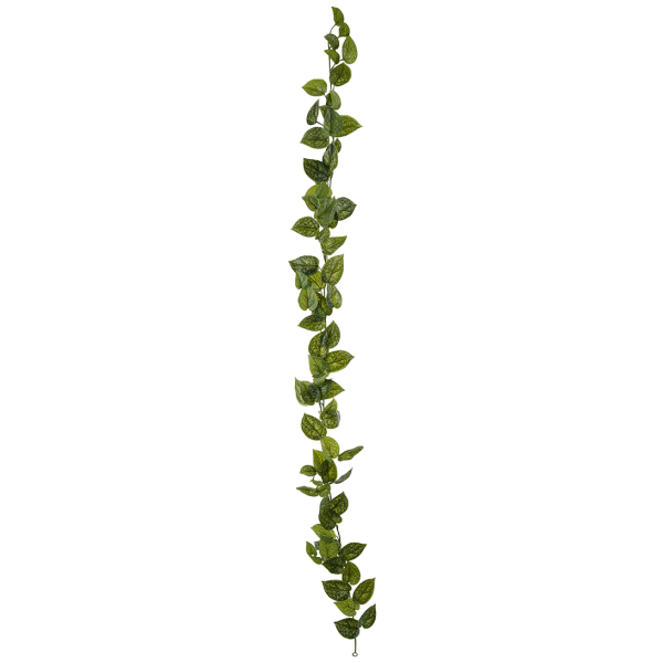 Girlang - Grön växt