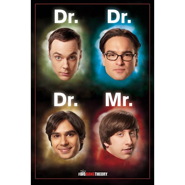 Big Bang Theory Juliste Dr Mr A702