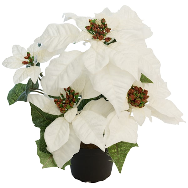 Julstjärna Konstgjord Blomma Cremevit