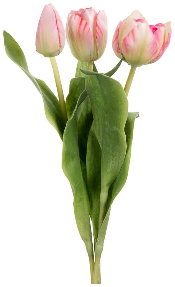 Tulpanbukett Rosa - 3 st tulpaner