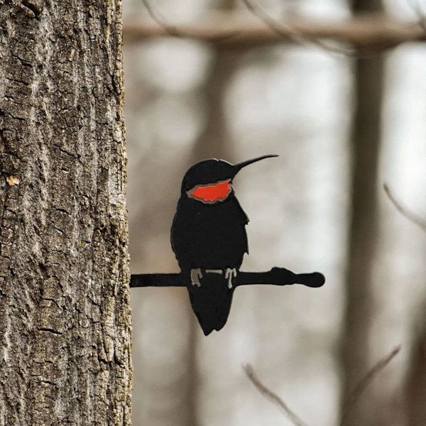 Kolibri Silhuett Bare Metall Hage Hjemmeinnredning Hummingbird