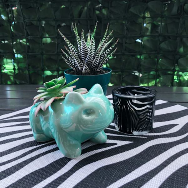 Keramiska Blompottar, Cartoon Succulent Planter Pots Grön Liten Djurformad DIY Konst Vas Blomma för Kontorsbord Trädgård Hem Dekorativ, 1 st