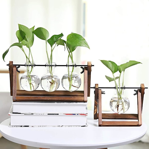 Skrivbordsplanter i klart glas med retro stativ i massivt trä, dekorativt växtterrarium för hydroponiska växter, hemträdgård, bröllopsdekoration (3 vaser)