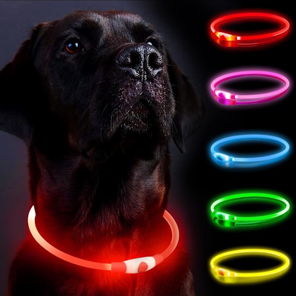 Nattlysande Hundhalsband med USB-laddningsbart LED-halsband, Justerbart Lysande Valphalsband Tre Lägen, Enkelt Litet Mellanstort Stora Hundar Katter, Röd