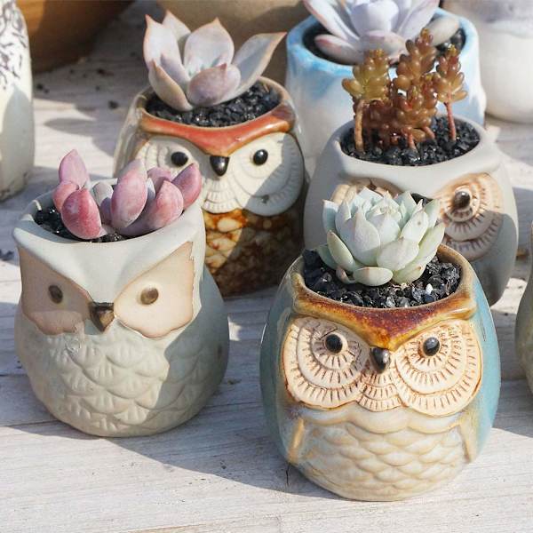 Set med 4 Mini Keramik Cartoon Uggla Mönster Succulent Växtkruka Blomma Kruka Behållare Planterare Kaktus Växtkruka för Trädgård
