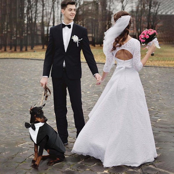 Hundekostyme til jul, Halloween, bursdag, bryllup, formell hundedress for små hunder, smoking med sløyfe (svart, M) M