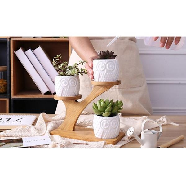 Sukkulente Plantepotte Hvid Keramik Haveplantepotter Mini Ugle Blomsterpotter Med Bambusbakke Indendørs Sæt Af 3