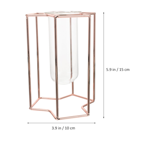 1 st Hydroponisk Glasvas med Järnstativ, Roséguld