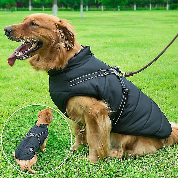 Varm Vanntett Jakke Med Sele, For Hundefolk Vinter Komfort Bomulls Bekledning Polstret Vest, For Mellomstore Hunder Black