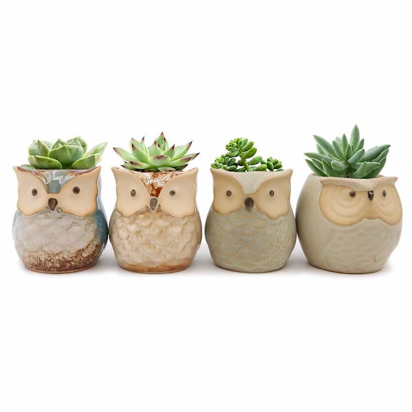 Set med 4 Mini Keramik Cartoon Uggla Mönster Succulent Växtkruka Blomma Kruka Behållare Planterare Kaktus Växtkruka för Trädgård