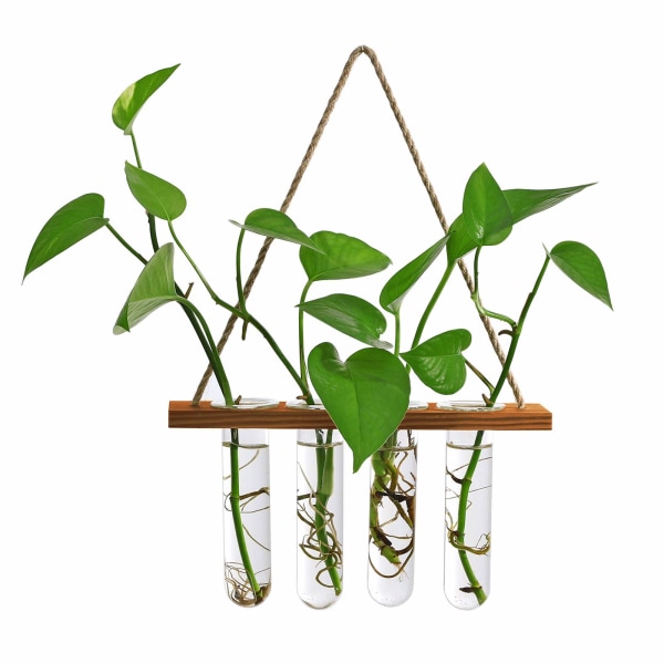 Væghængende plantekasse Testknop Vasestativ med 4 glasreagensrør, Station Bordplade Terrarium træstativ til indretning af hydroponiske planter A