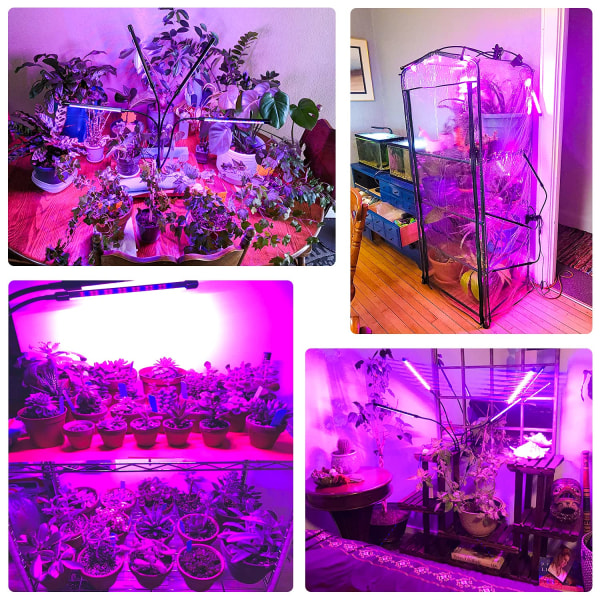 Kasvatusvalot sisäkasveille, 80 LED-valoa LED-kasvivalot, punainen ja sininen koko spektri, 4 pään kasvatuslamppuja ajastimella, taimet ja mehikasvit, A B