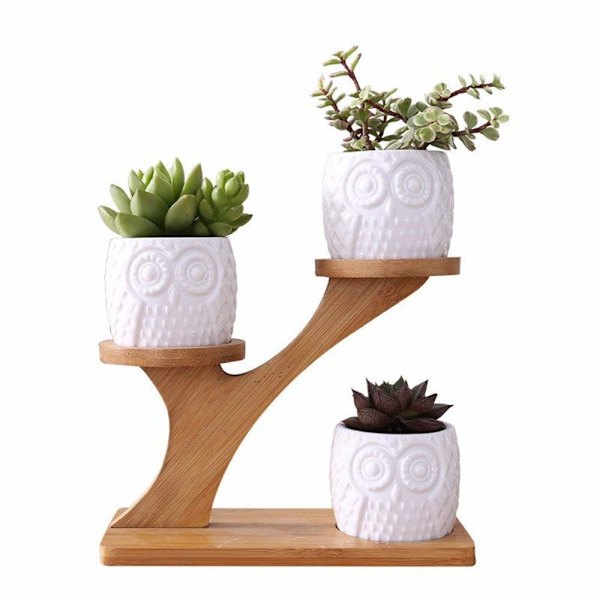 Sukkulente Plantepotte Hvid Keramik Haveplantepotter Mini Ugle Blomsterpotter Med Bambusbakke Indendørs Sæt Af 3
