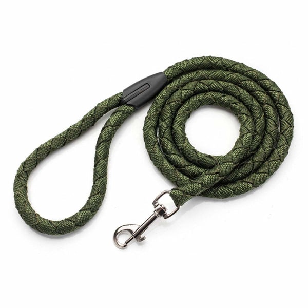 Hundeforing av nylon, tau for hunder, treningsforing for mellomstore og store hunder med rustfritt stålspenne, 1,5 m lang og 1,2 cm bred (grønn)