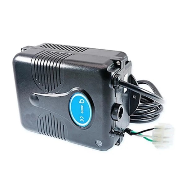 220v 300 mg/h Ozongenerator Badkar Dusch Spa Pool