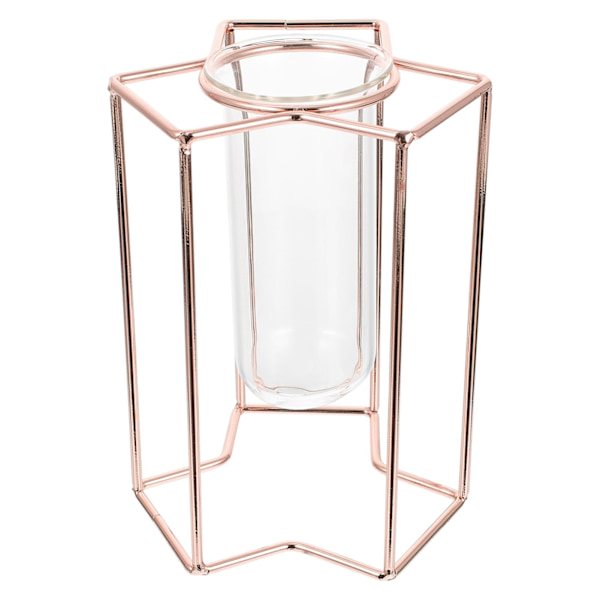 1 st Hydroponisk Glasvas med Järnstativ, Roséguld