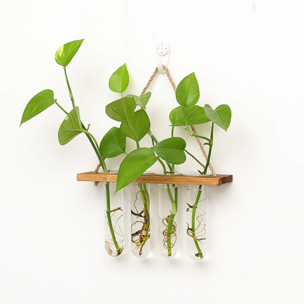 Seinälle ripustettava istutusastia Test Bud -maljakoteline 4 lasisella koeputkella, pöytäasetelma terrarium puinen jalusta hydroponisille kasveille kotiin, puutarhaan ja toimistoon Wood color