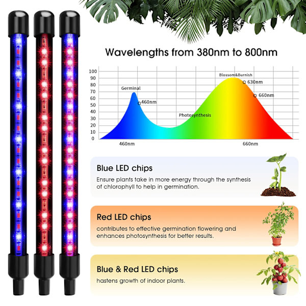 Vekstlys for innendørs planter, 80 LED-lys, rødt og blått fullspektrum, 4 hoder vekstlamper med timer, frøplanter og sukkulenter Red & Blue Full Spectrum
