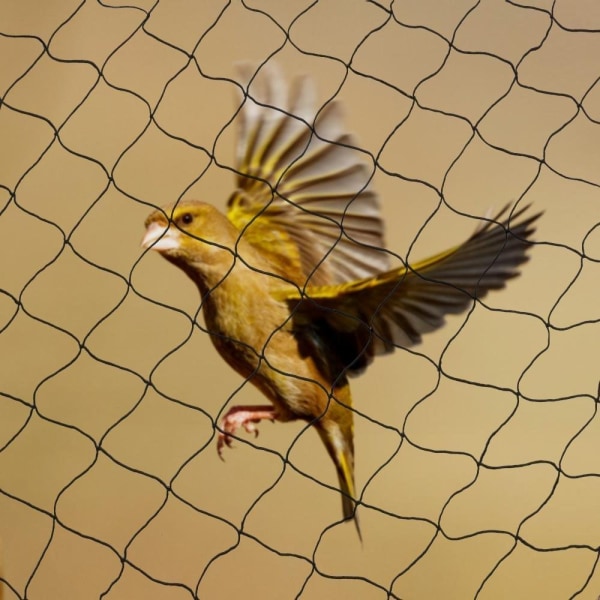Anti-bird mesh mesh skydd nät skyddsnät trädgårdsnät dammnät voljärnät dammnät mot fåglar robust anti-UV (15m x 3m)