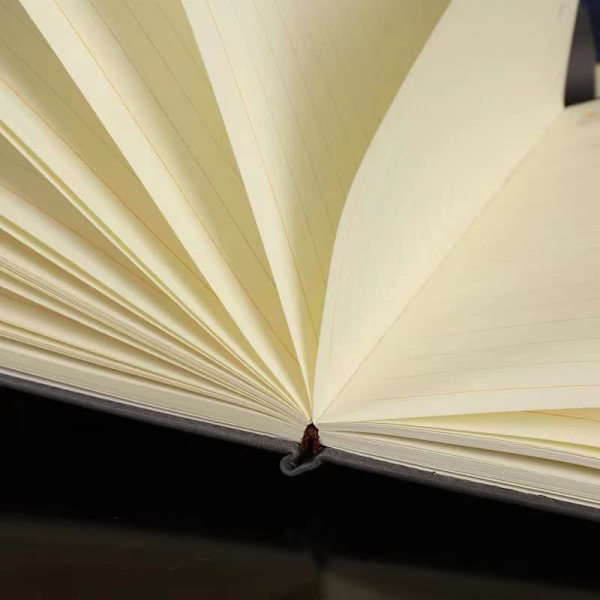 A5 Notesbog med Pen Vintage Rejse Notesbog og Pen Business Daglige Ideer Notesblok Sæt (GRØN)