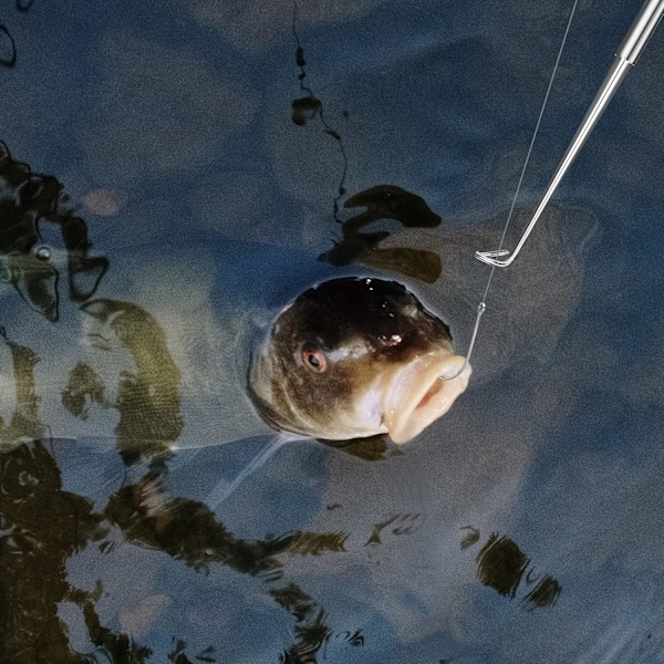 Set med 2 Fiskekrokar Snabbkoppling, Rostfritt Stål Krokavskiljare Avkrokningsverktyg