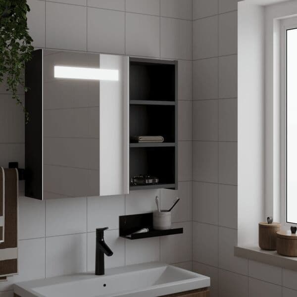 VidaXL Spejlskab og LED-lampe sort 60x13x52 cm Sort