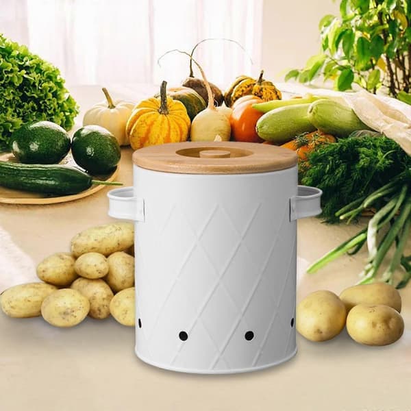 [SC]Potato Box Food Storage Container with Lid Vegetable Storage Box Kitchen Storage Jar for Pantry Countertop - Perf White Medium
