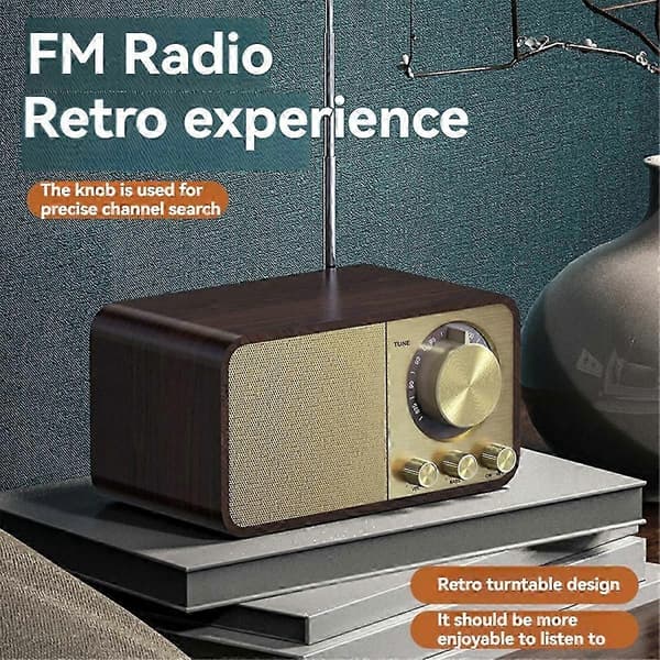 (SC)FM Radio with Reception, Bluetooth Transistor Radio with 5W Speaker-FA-