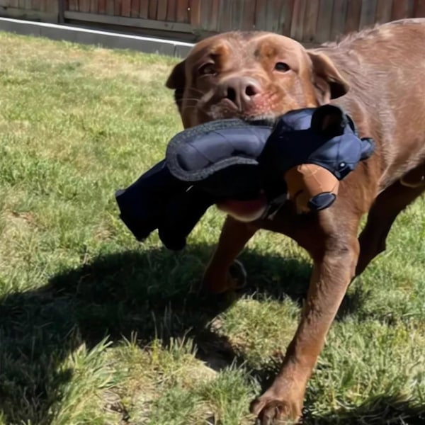 Unbreaka Bear Hund Otroligt Tålig Nalle Extrem Björn 2.0 Hundleksaker