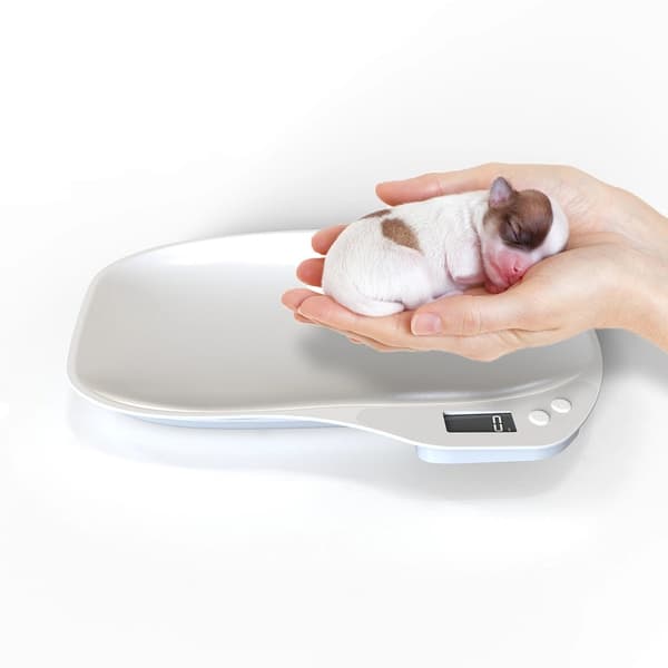 (SC)Digital Pet Scale 15000g - Accurate Measurement for Small Animals, Postal Packages, and Kitchen Use 723