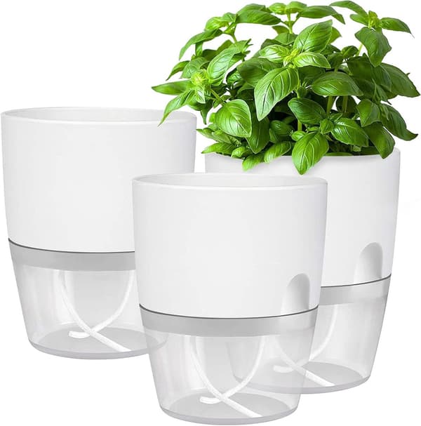 (SC) Kitchen Herb Pot Set - Three-piece Self-watering Windowsill Set - Dimensions 18.3 x 11 x 15.2 cm - White - Suitable for Growing Fresh Kitchen Herbs.
