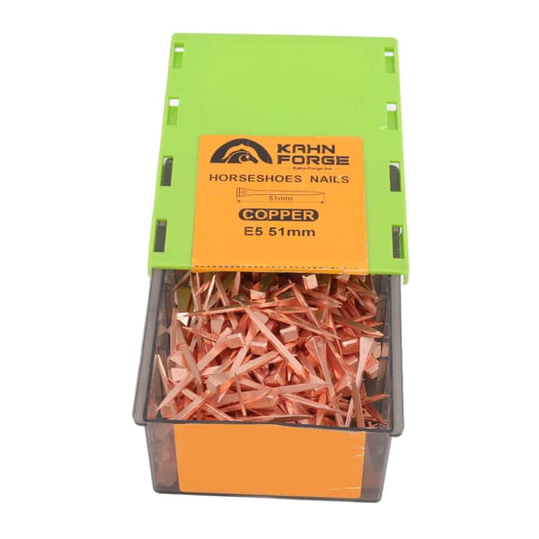 (SC)250 pcs Horseshoe Nails Copper Plating Shoeing Nails with Plastic Box for Livestock Breeding E5 51mm/2.01in